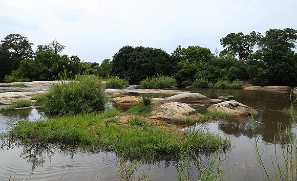 Lion Sands