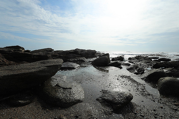 Landscape - coast