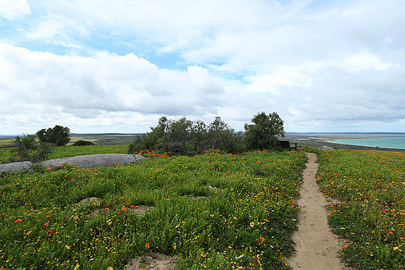 Landscape West Coast NP
