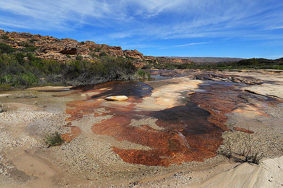 Landscape west coast
