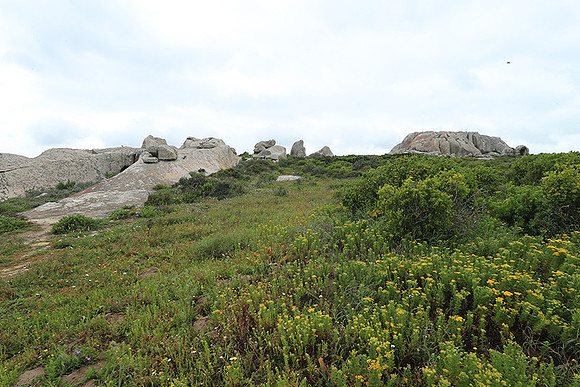 Landscape West Coast NP