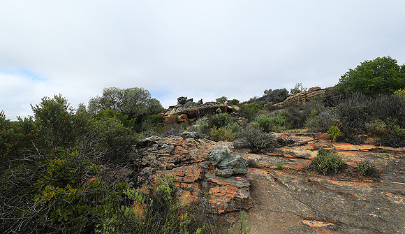 Landscape west coast