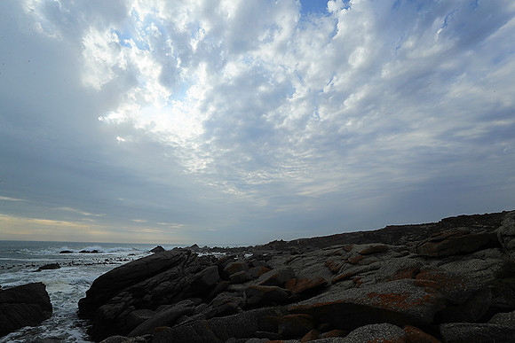 Landscape - coast