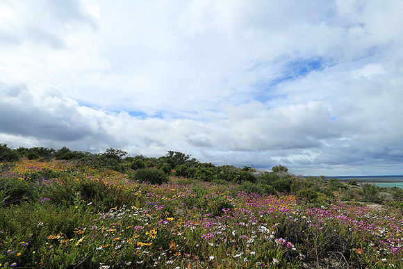 Landscape West Coast NP