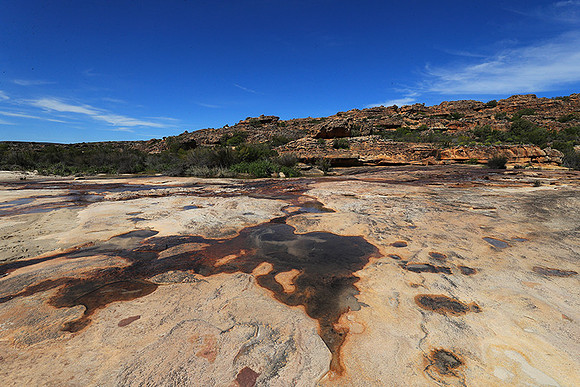 Landscape west coast