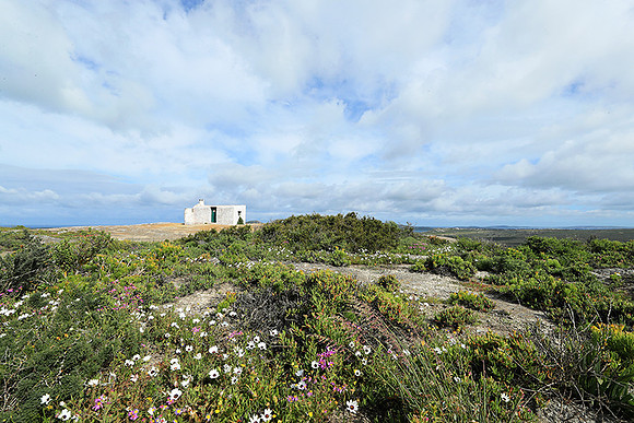 Landscape West Coast NP