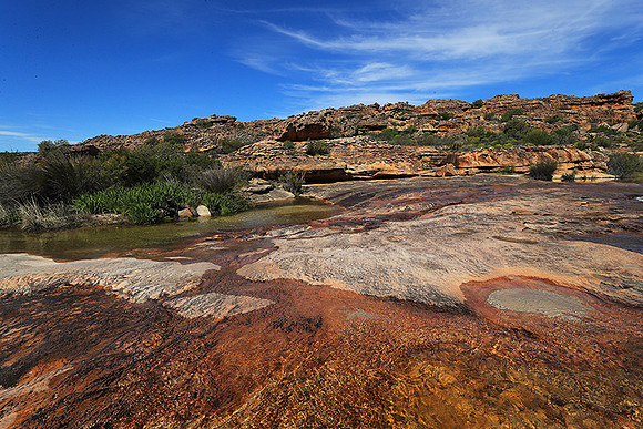 Landscape west coast