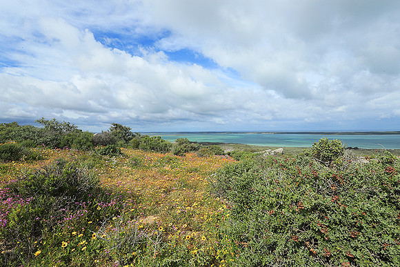 Landscape West Coast NP