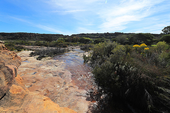 Landscape west coast
