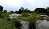Lion Sands