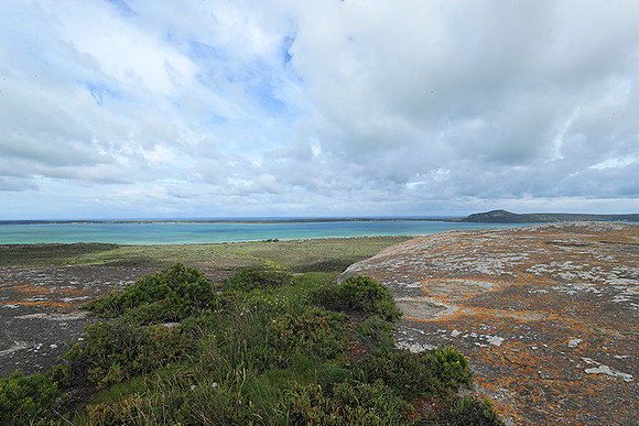 Landscape West Coast NP