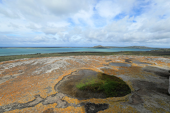 Landscape West Coast NP