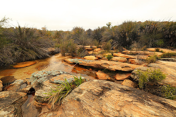 Landscape west coast