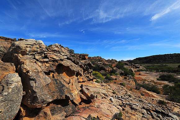Landscape west coast
