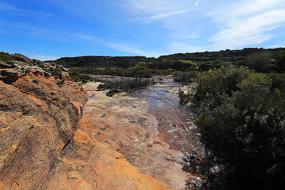Landscape west coast