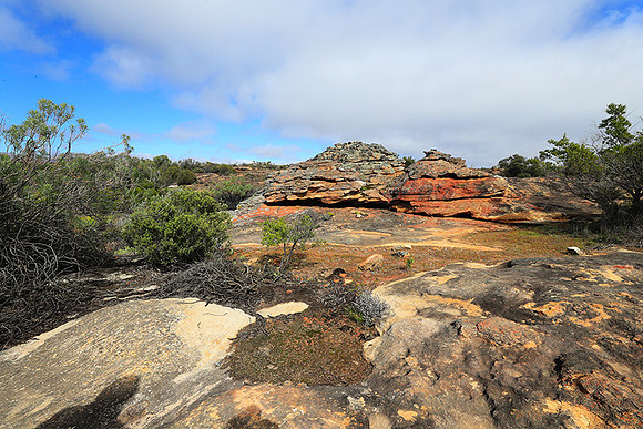 Landscape west coast
