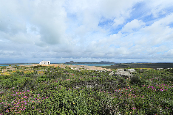 Landscape West Coast NP