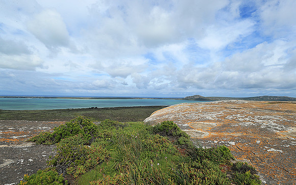 Landscape West Coast NP