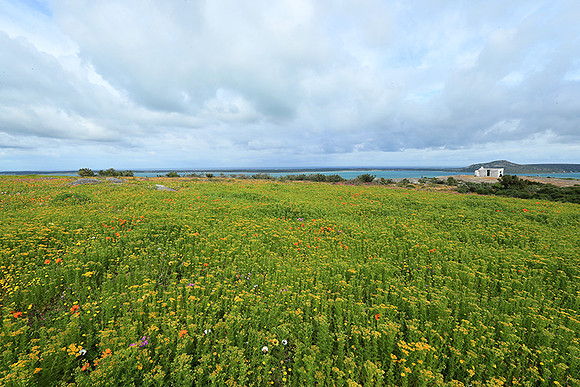 Landscape West Coast NP