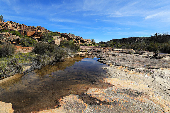 Landscape west coast