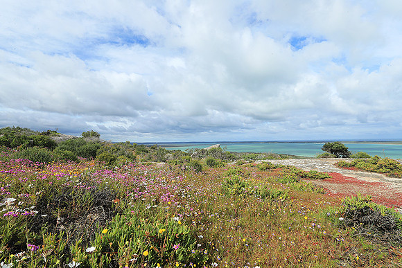 Landscape West Coast NP