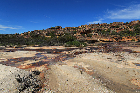 Landscape west coast