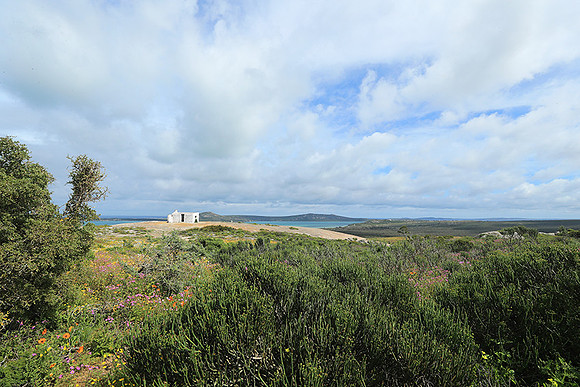 Landscape West Coast NP