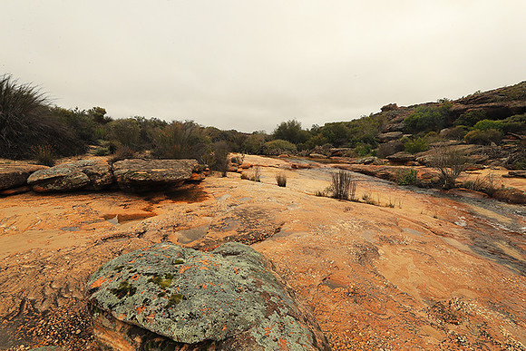 Landscape west coast