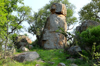 Lion Sands