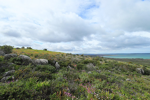 Landscape West Coast NP