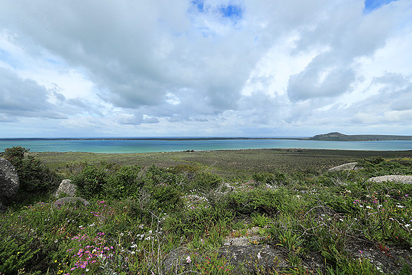 Landscape West Coast NP