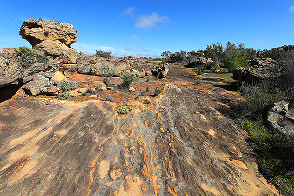 Landscape west coast
