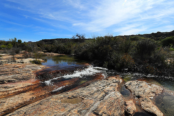 Landscape west coast
