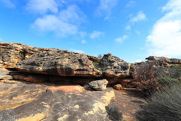 Landscape west coast