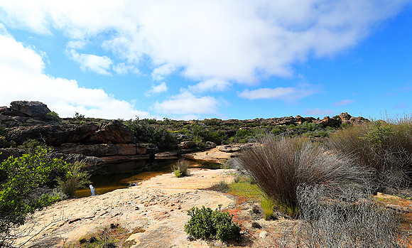 Landscape west coast