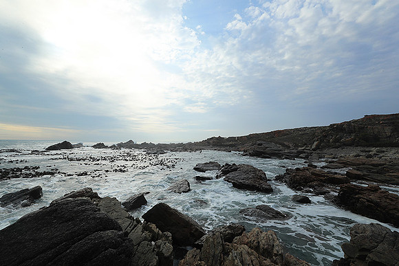 Landscape - coast