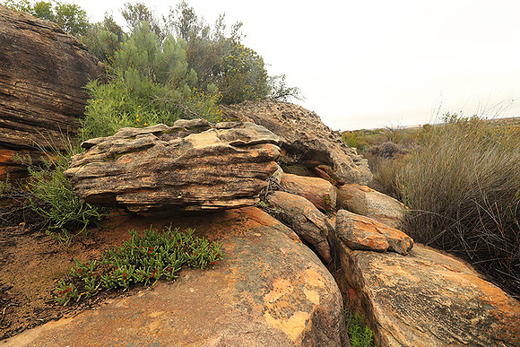Landscape west coast