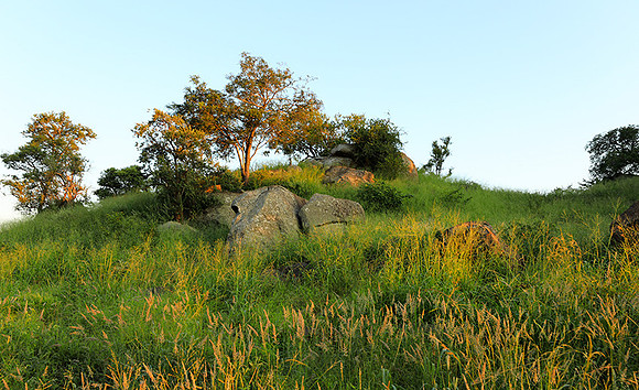 Mala Mala game reserve