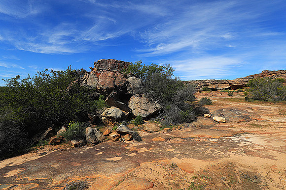 Landscape west coast