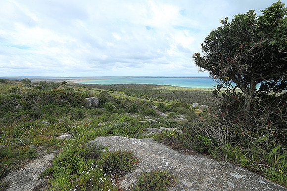 Landscape West Coast NP
