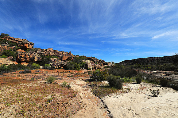 Landscape west coast