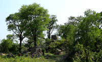 Lion Sands
