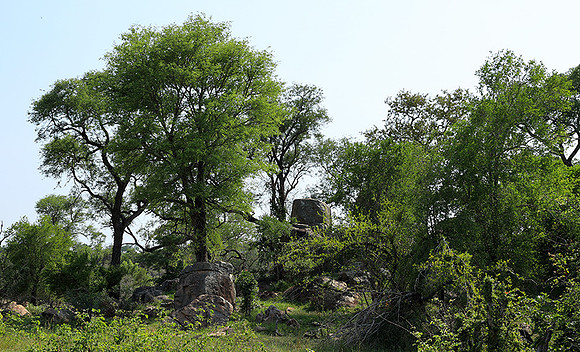 Lion Sands