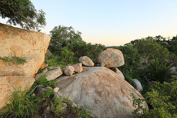 Mala Mala game reserve