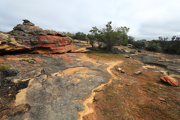 Landscape west coast
