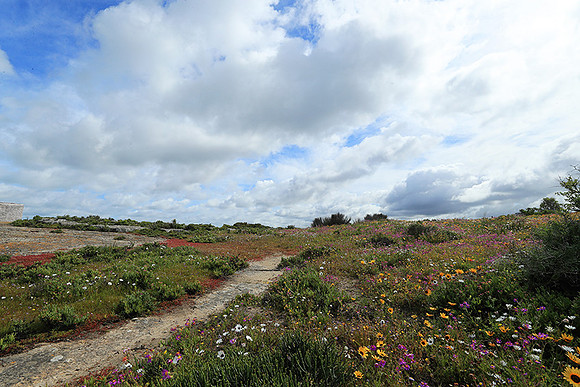 Landscape West Coast NP