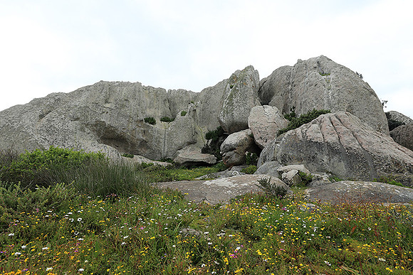 Landscape West Coast NP