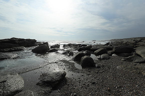 Landscape - coast