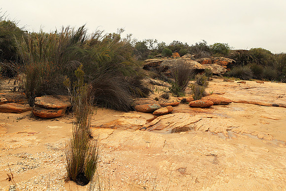 Landscape west coast