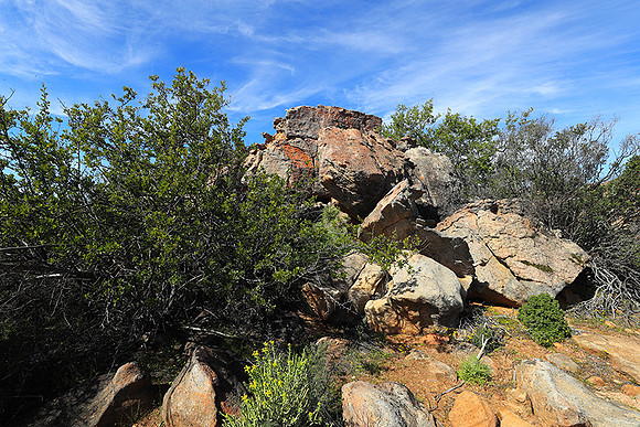 Landscape west coast
